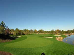 custom artificial grass golf green