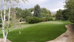Private Backyard Putting Green in Artificial Grass