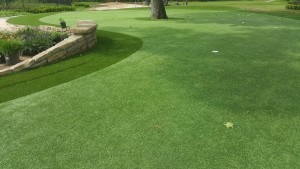 closeup of artificial putting green in Phoenix Area
