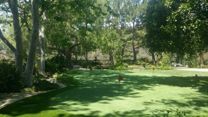 Private Backyard Putting Green in Artificial Grass