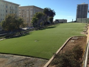 Phoenix commercial artificial grass