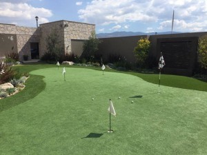 custom backyard artificial grass installers phoenix