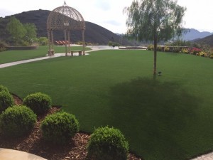 fake grass lawn arizona