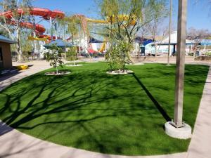 beautiful arizona commercial synthetic turf