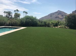 artificial grass lawn in arizona