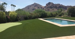 private backyard artificial grass pool surround