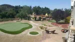 Private Backyard Putting Green in Artificial Grass