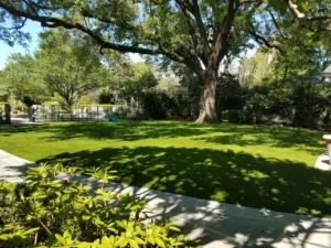 artificial turf backyard lawn