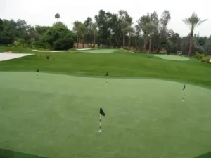 Backyard Golf Course