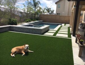 artificial turf landscaping pet turf