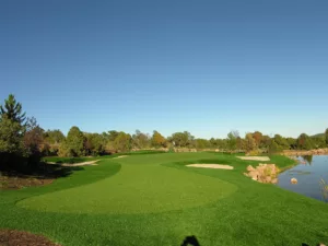 artificial grass landscaping