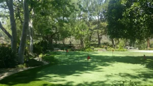 Private backyard putting green
