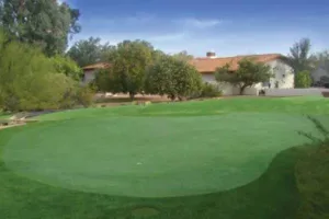 Artificial Grass Signature Putting Green