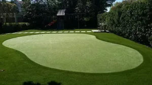 backyard artificial grass putting green