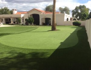 backyard putting green