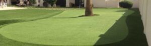 Private AZ Backyard Putting Green