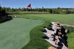 Putting Green Artificial Turf