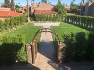 scottsdale-commercial-artificial-grass-installation