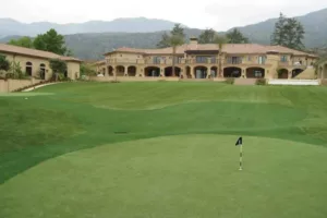 Synthetic Turf Putting Green