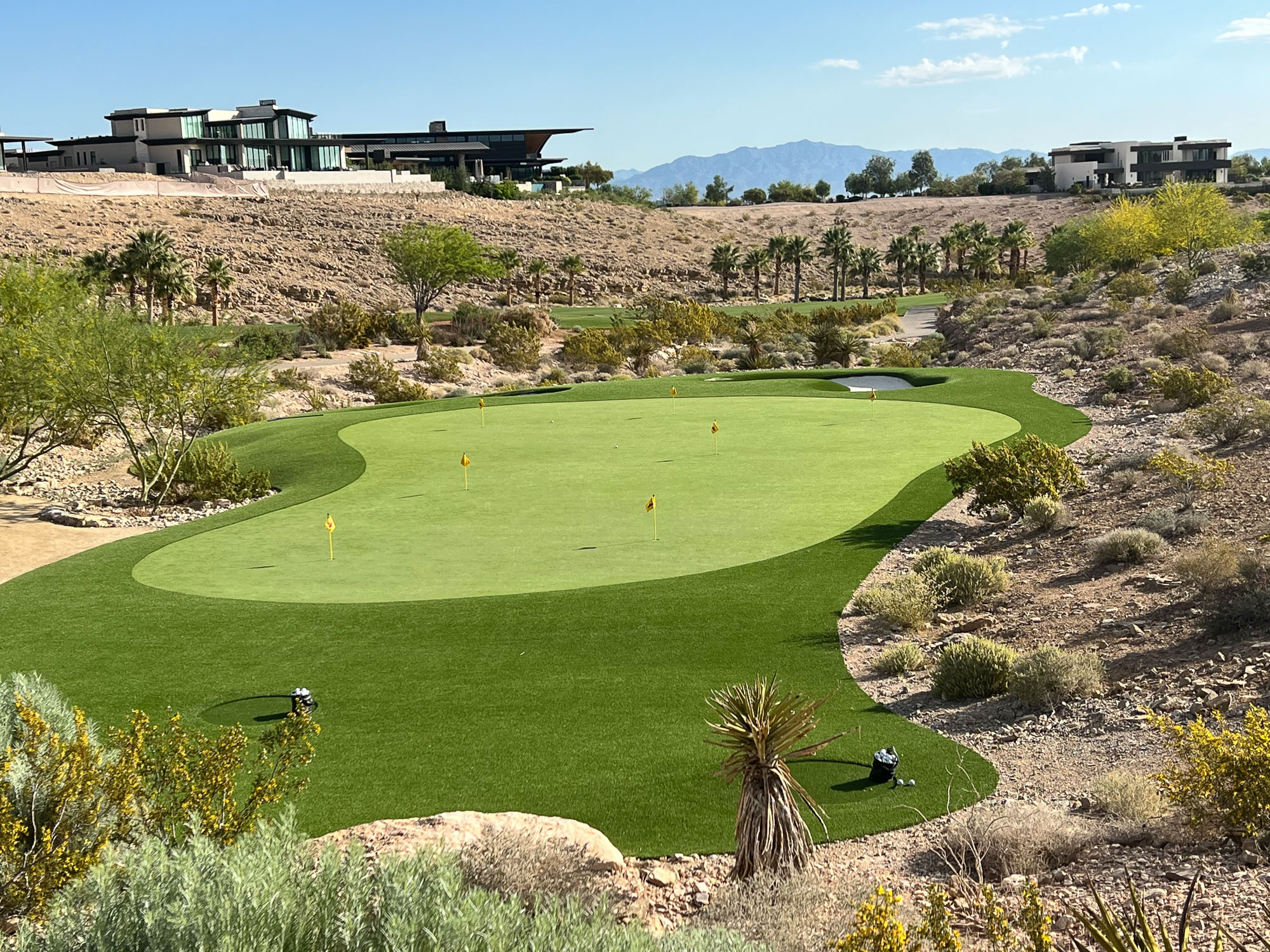 Private Backyard Putting Green in artificial grass