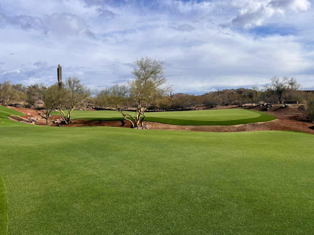 Premium Artificial Turf Commercial Golf Property in AZ