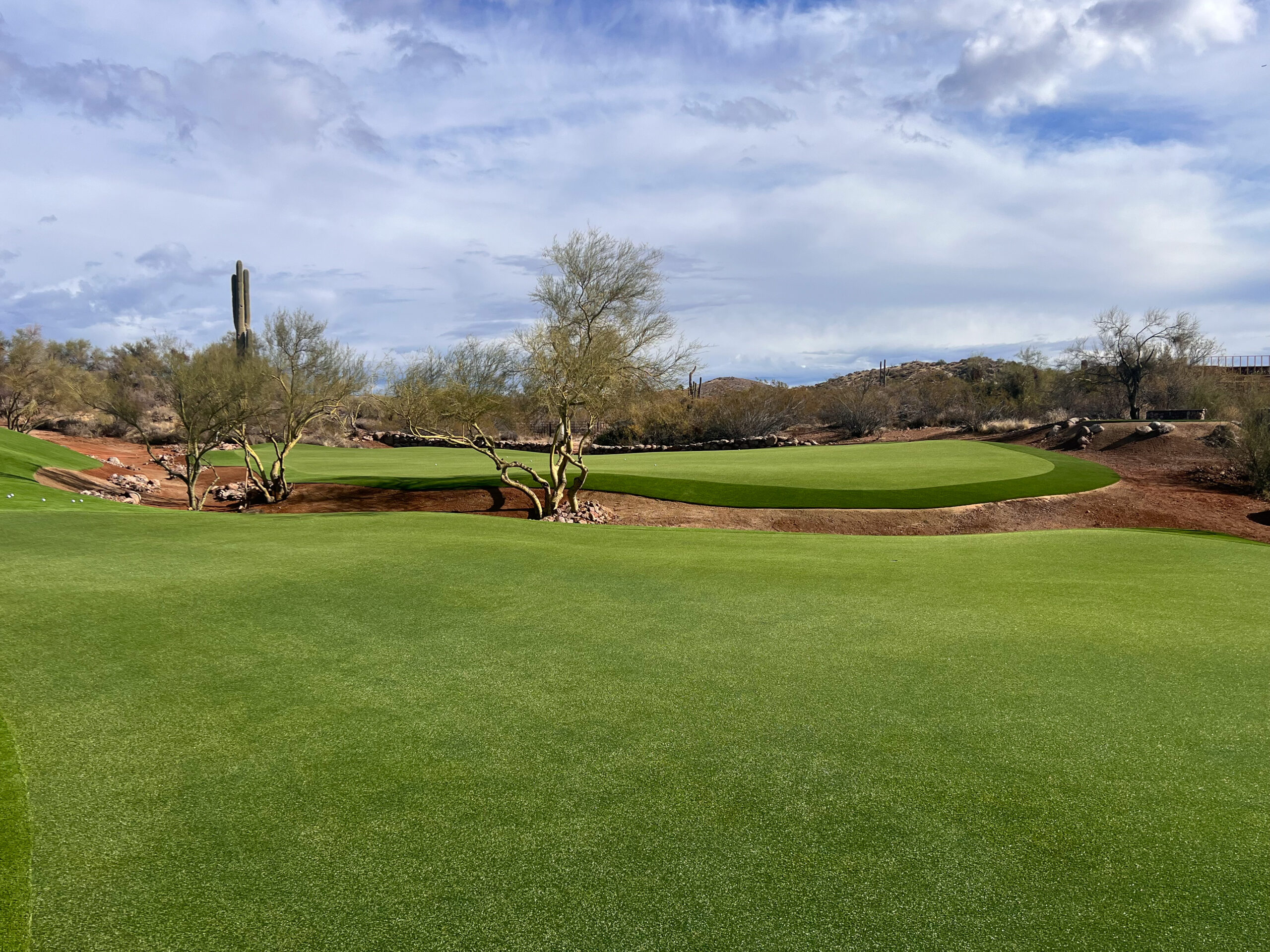 Premium Artificial Turf Commercial Golf Property in AZ