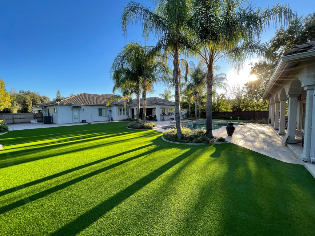 backyard artificial grass