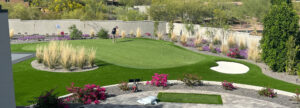 Phoenix artificial grass putting green design