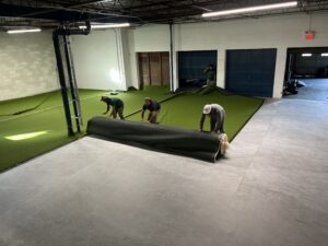 Celebrity Greens Team of Experts